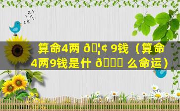 算命4两 🦢 9钱（算命4两9钱是什 🐒 么命运）